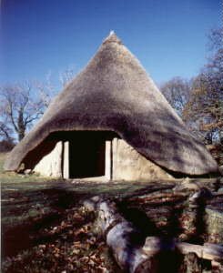 Celtic Round House