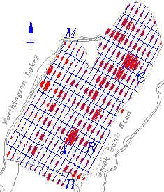 Distribution Patterns