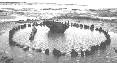Seahenge: the ring of oak posts around the upturned stump on Holme beach, Norfolk