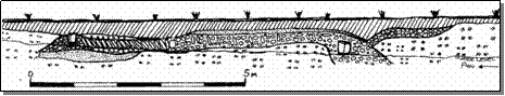 Road Section