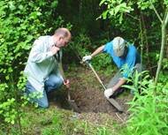 Coring for the road in the wood