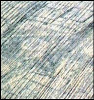 Crop Marks