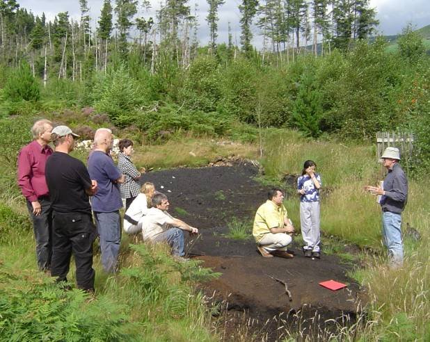 Medieval Iron Smelting site at LLwyn Du