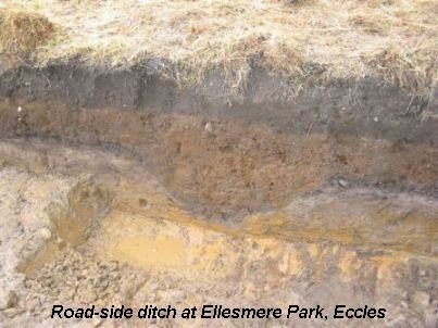 Road-side Ditch, Eccles