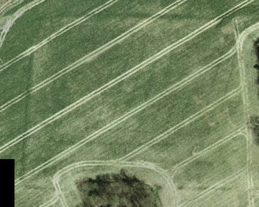 Crop marks of a possible Roman site north of the Ribble