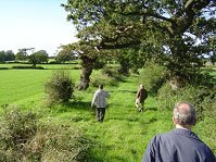 Walking the fields near Ribblehead