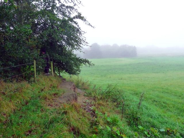 Glazebury Site