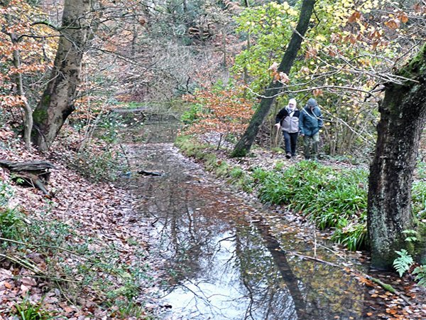 Haigh Canal