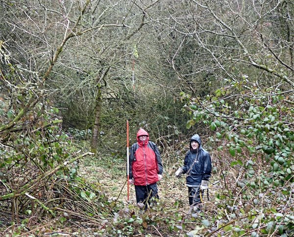 Survey Team