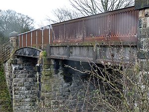 Foot Bridge