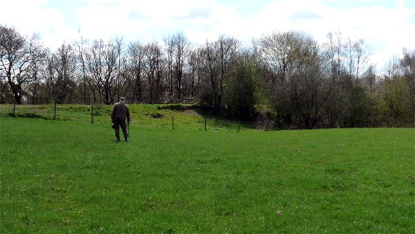 Row High Wood