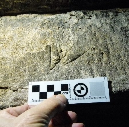 A Double-V Protection Mark