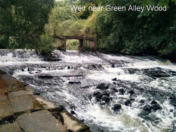 Weir Near Green Alley Wood