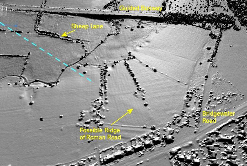 LiDAR Image of Mosley Common