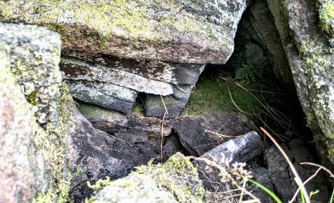 Wall-like Structure