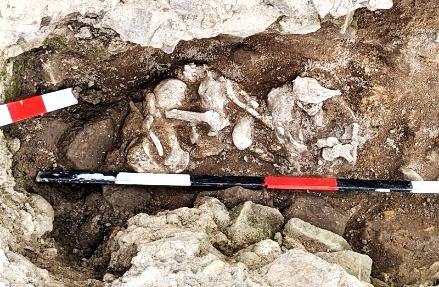 Aspull Excavations